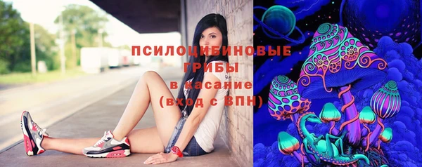 эйфоретик Абинск