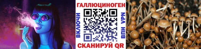 Псилоцибиновые грибы GOLDEN TEACHER  Чишмы 